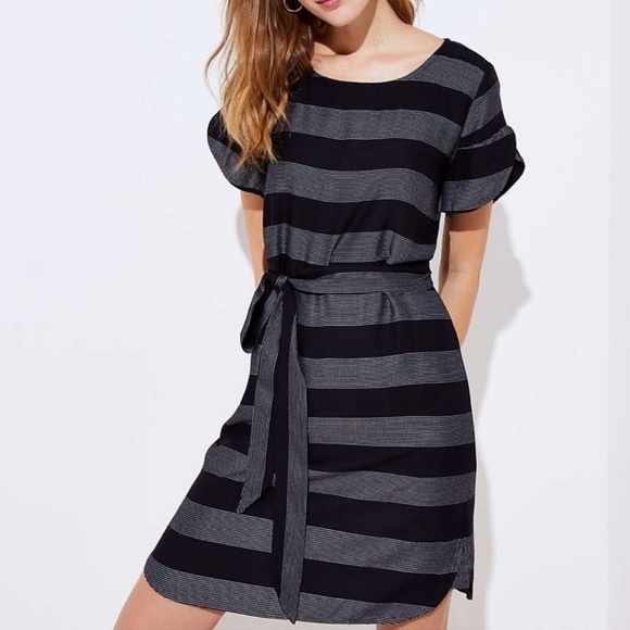 Loft M Women's Black White Striped Shift Shirt Dress Petal Sleeve Sz Petite Med - Picture 2 of 11